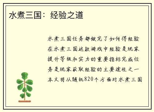 水煮三国：经验之道